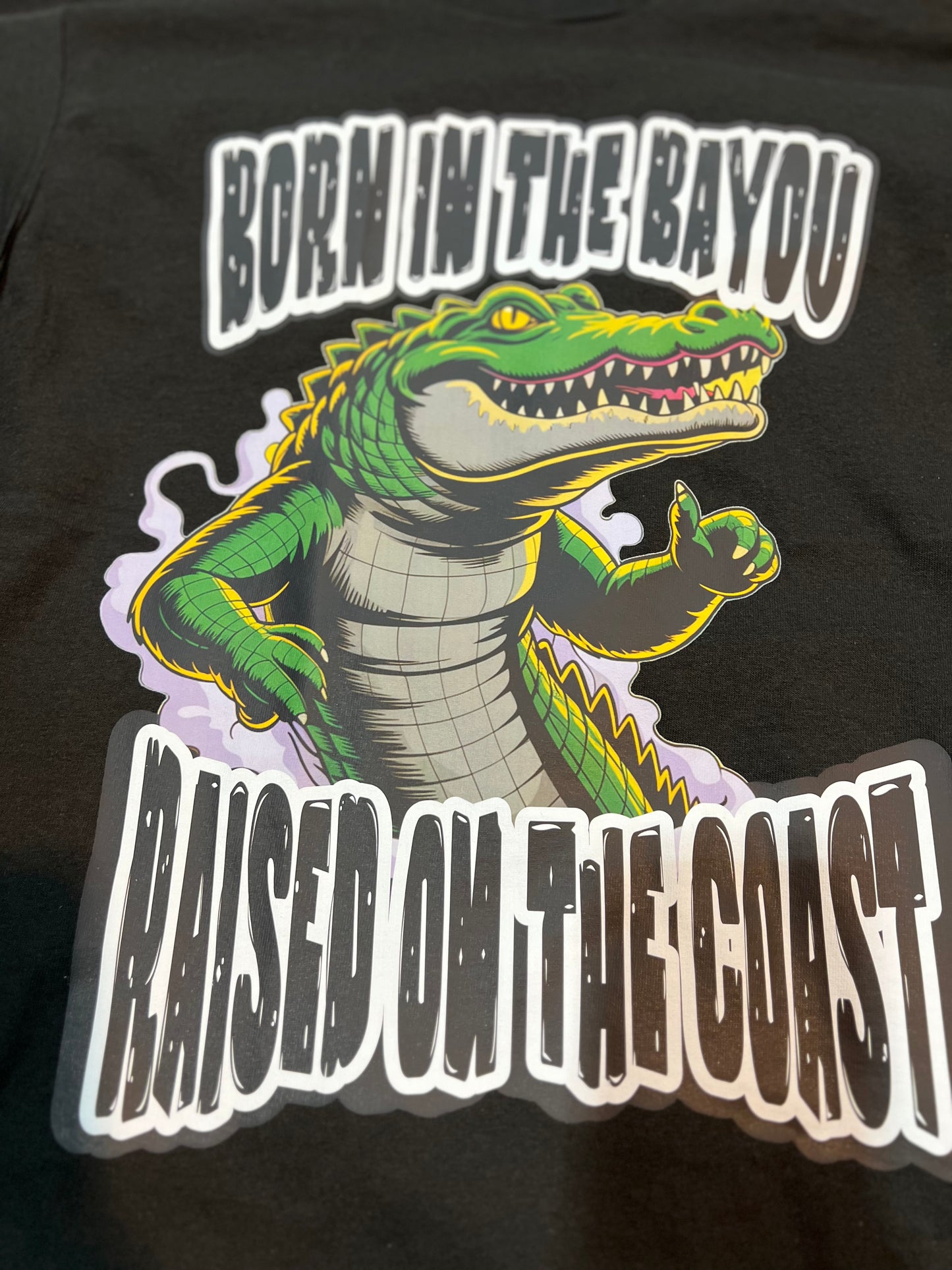 Born In The Bayou Raised On The Coast T-Shirt